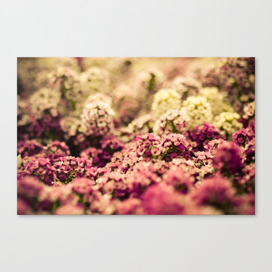 Serendipitous Moment Canvas Print