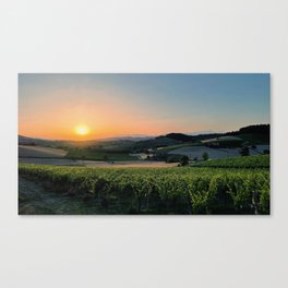 Sunset in the vineyard Canvas Print