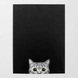 Curious Cat Peeking, Sneaky Kitty, Kitty Photography, Cat, Cats Poster