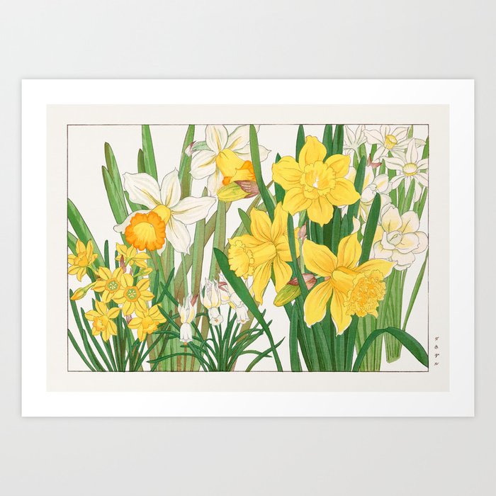 Woodblock Vintage Japanese Daffodil Woodblock Painting by Tanigami Kônan Art Print
