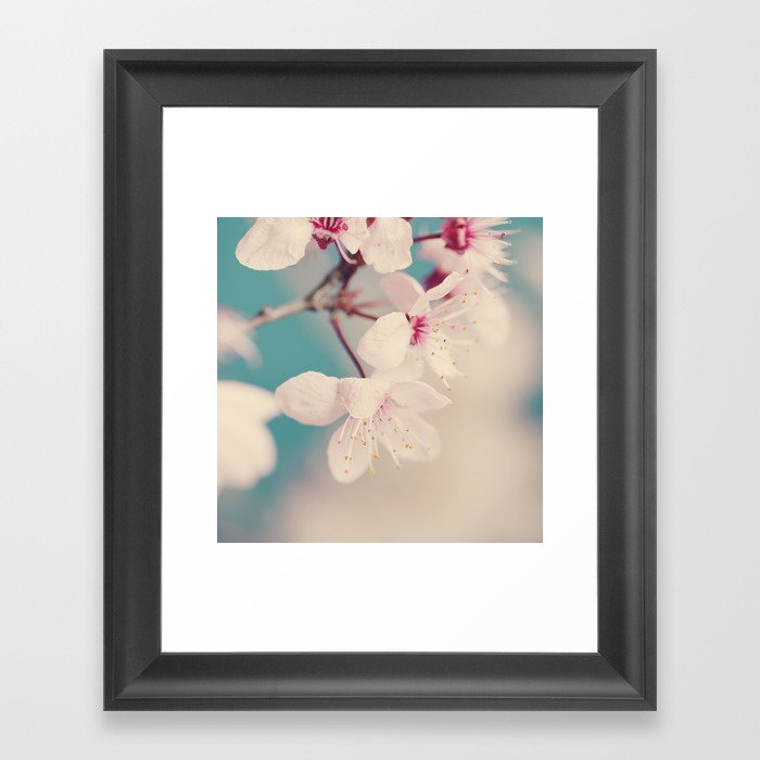 Flower photography - spring blossoms - white floral print Framed Art Print