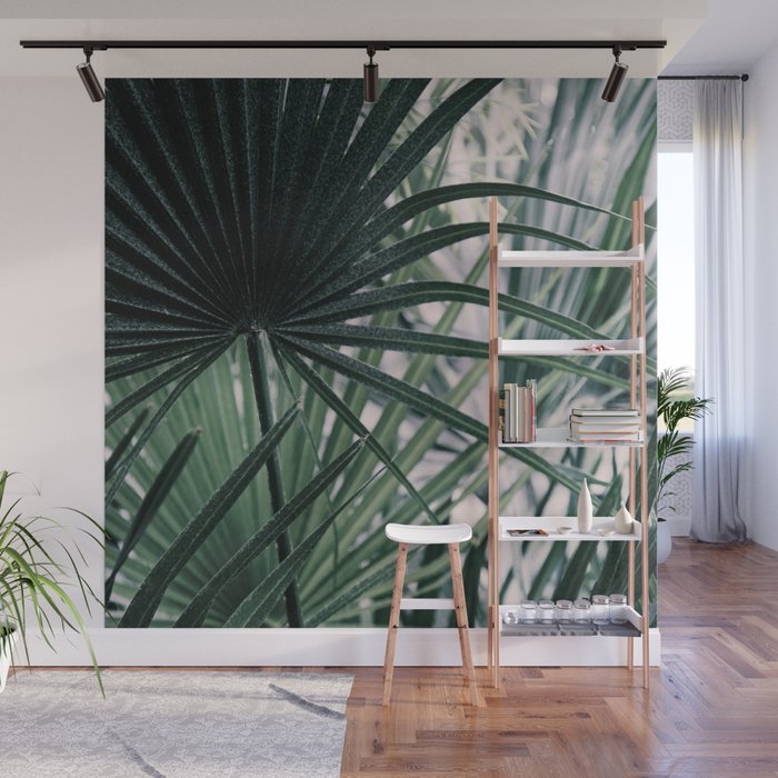 Fan Palms Galore - Tropical Nature Photography Wall Mural