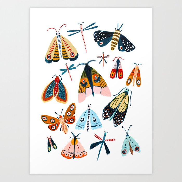 Moth Species Art Print