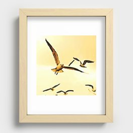 Birds flying in the sky, 2, bird, birds, seagull, seagulls, swan, waterfowl, swan, sky, freedom, summer, spring, Recessed Framed Print