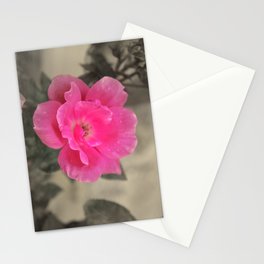 Pink Me Stationery Cards