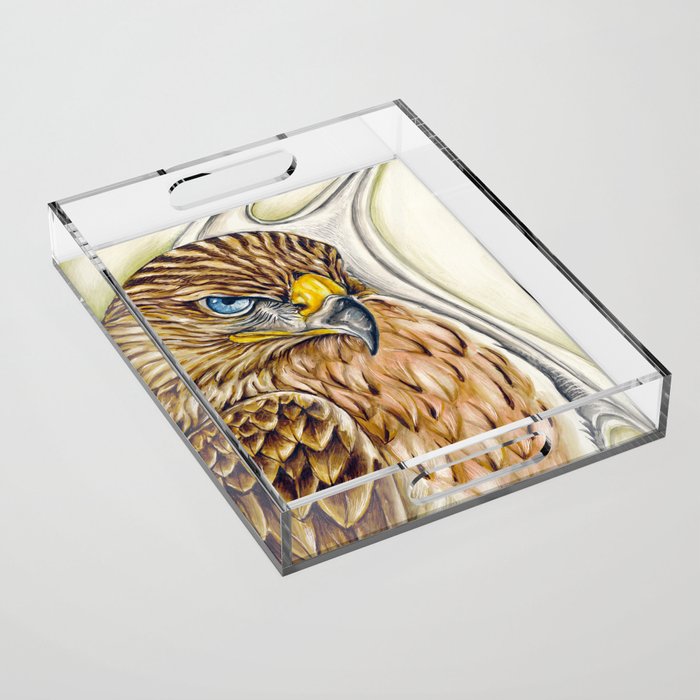 Red Tail Hawk Raptor Bird Wildlife Ink Art Acrylic Tray