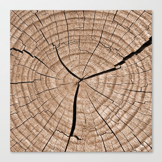 Tree Trunk Canvas Print