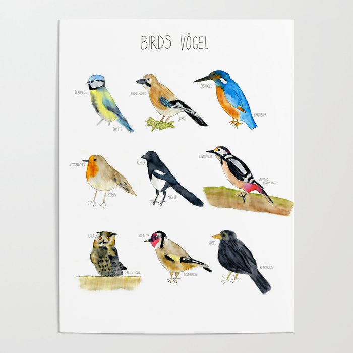 Birds / Vögel Poster