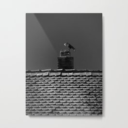 The hungry crow Metal Print | Rooftop, Eating, Darkness, Night, Evening, Food, Sitting, Raven, Roof, Crow 