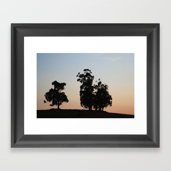Eucalyptus trees at sunset Framed Art Print by Anna Lemos | Society6