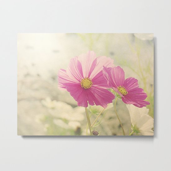 Vintage Cosmos in the Sun Metal Print