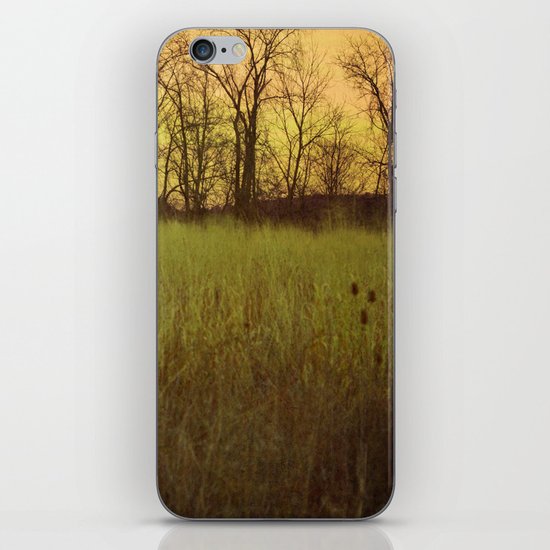 Morningtide - When Night is Left Behind iPhone & iPod Skin
