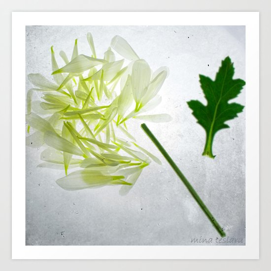 Botanical Blueprints - Dahlia Art Print