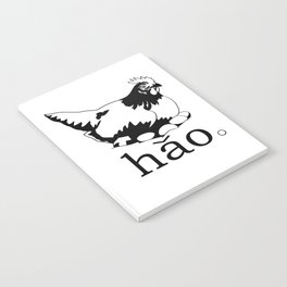 hen hao Notebook