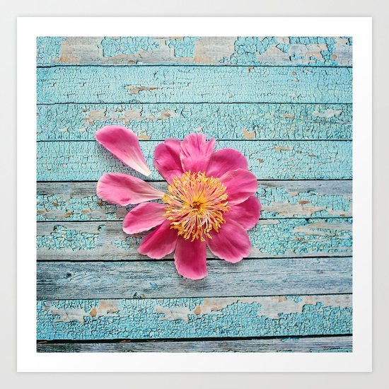 pink peony Art Print