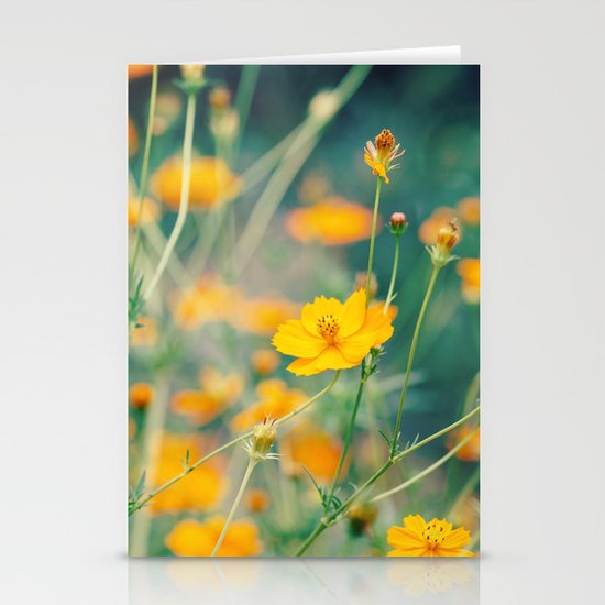 Orange Cosmos Stationery Cards