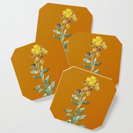 Vintage Yellow Wallflower Bloom Botanical Illustration on Bright Orange Coaster