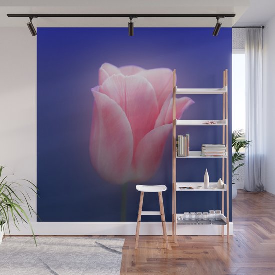 Romantic Pink Solo Tulip On Blue Background Wall Mural By Popartimages Society6