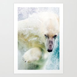 Arctic Polar Bear Photo | Underwater Wilderness | White Bear Animal Photography Art Print