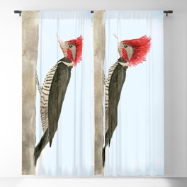 The Helmeted Woodpecker - A woodland bird with red crest Blackout Curtain