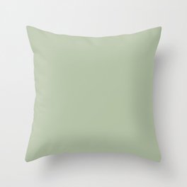 Solid Color Pale Pastel Green Pairs to Pantone 14-0114 TCX Celadon Green Throw Pillow