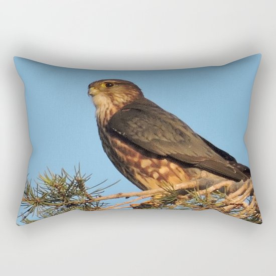 Cooper's Hawk in Evening Light Rectangular Pillow