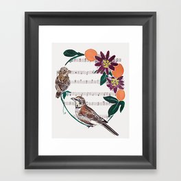 The Lark and the Sparrow and maypop Framed Art Print