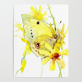 Yellow Butterfly and Yellow Flowers Poster