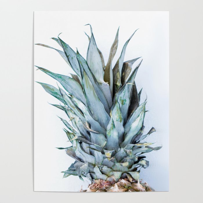Ananas - Pineapple On A White Background #decor #society6 #buyart Poster
