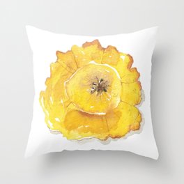 Patacon Panameño #8 Throw Pillow