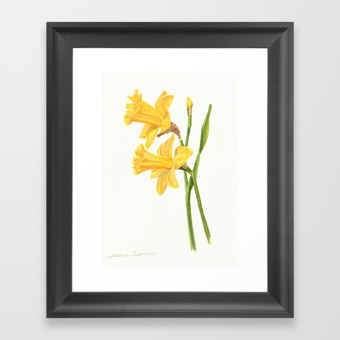 Early Daffodils Framed Art Print