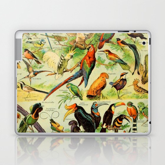 Adolphe Millot "Birds" 1. Laptop & iPad Skin