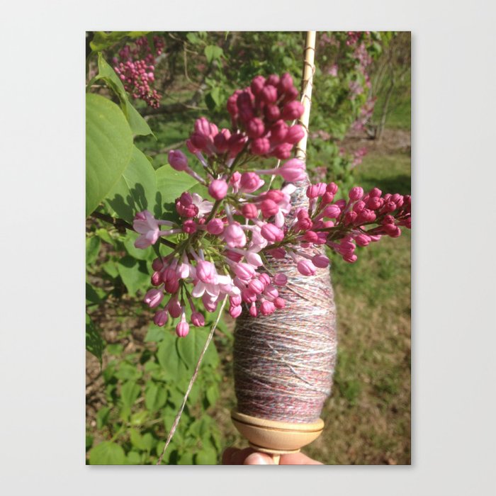 Plying and Lilac Canvas Print