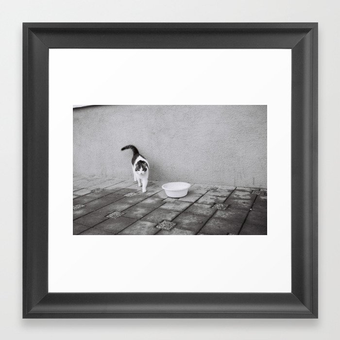 Analog Cat Retro Photography  Framed Art Print