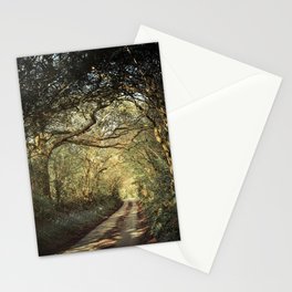 Great Britain Photography - Small Road In The British Forest Stationery Card