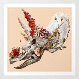 dinosaur skull Art Print