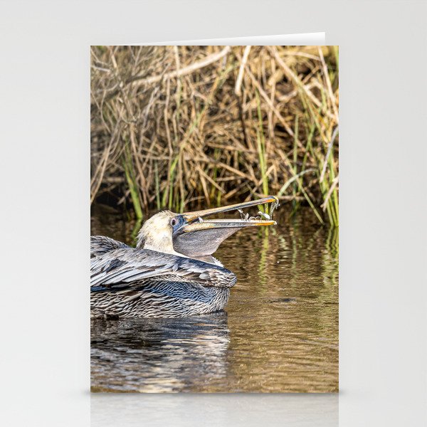 Pelican Snack Stationery Cards