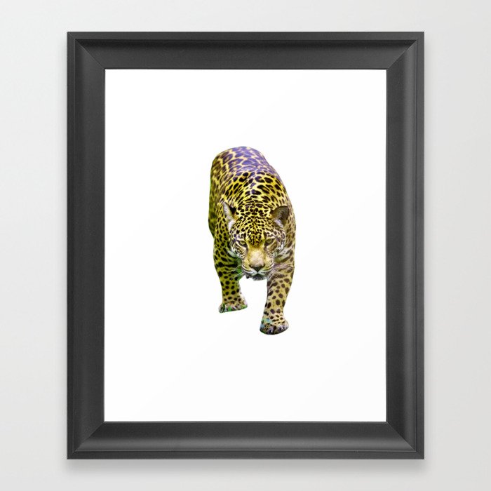 jaguar Framed Art Print