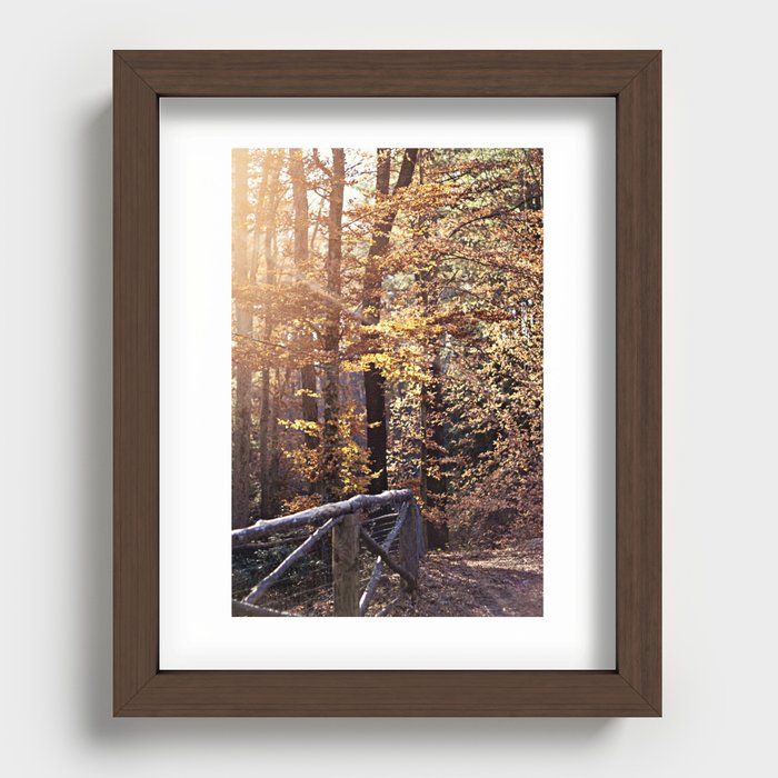 Autumn Daze Recessed Framed Print