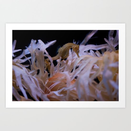 Sea Horse Art Print