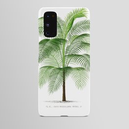 Palm tree Android Case