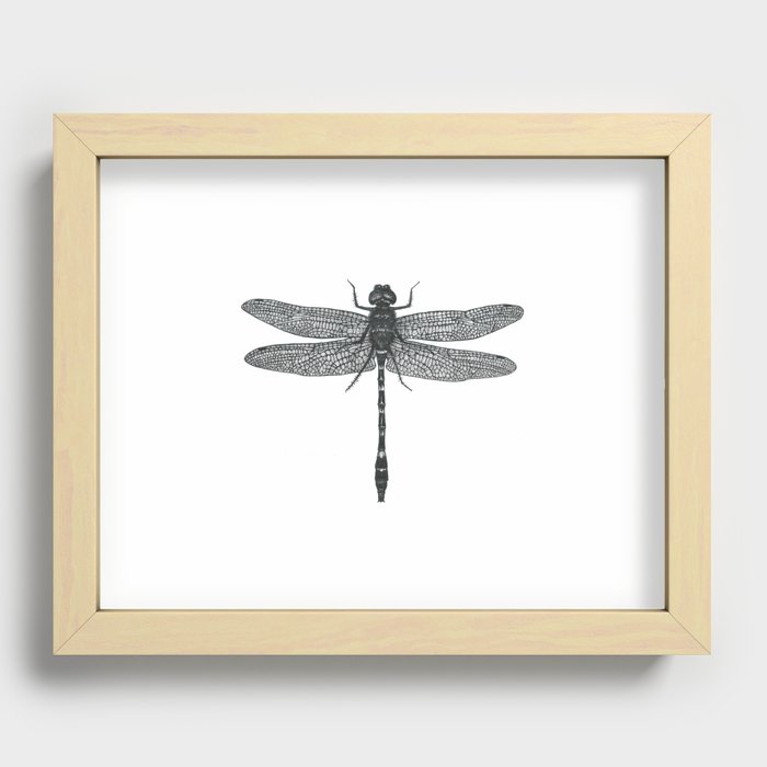 Lucky Dragonfly Recessed Framed Print