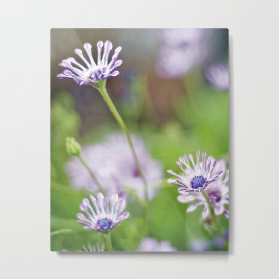 Tiny Dancers Metal Print