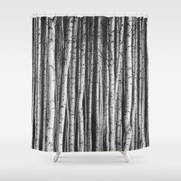 Birch || Shower Curtain