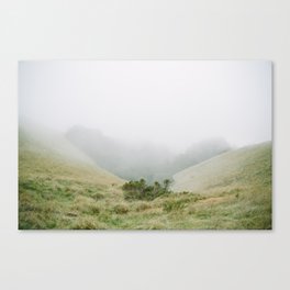 mt tam in the fog Canvas Print