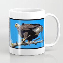 Alaskan Bald Eagle - Perched on tree limb Coffee Mug
