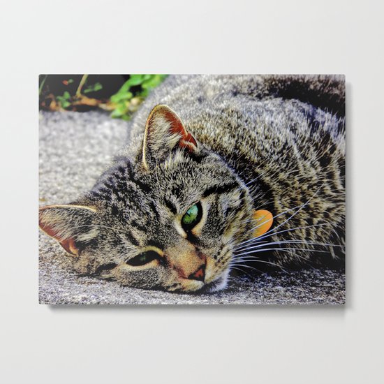 Those Green Eyes Metal Print