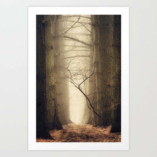 Quiet Art Print