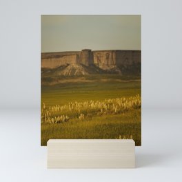 Wyoming Summer Mini Art Print