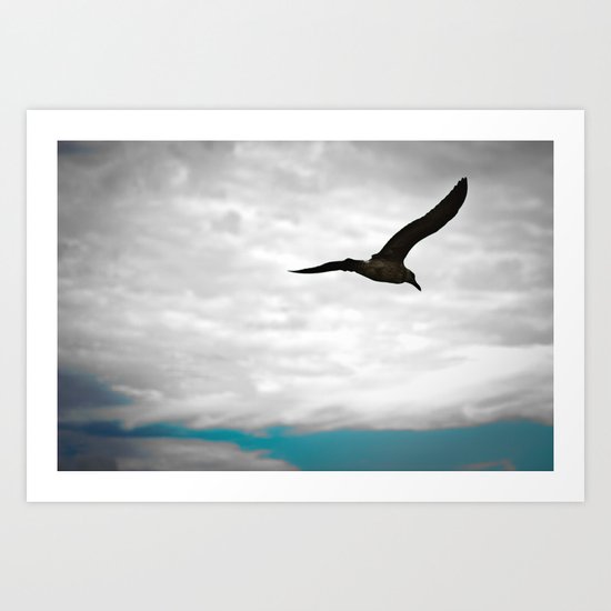 Seagull Art Print